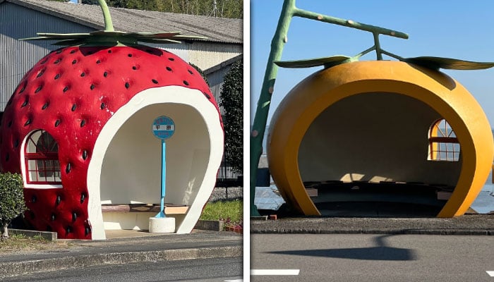 فوٹو — انسٹاگرام