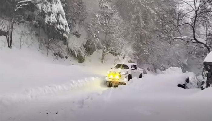 تصویر سوشل میڈیا۔