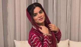 غلط ہاتھوں میں پڑا ہیرا بھی محض ایک پتھر ہوتا ہے: علیزے سلطان کا مبہم بیان