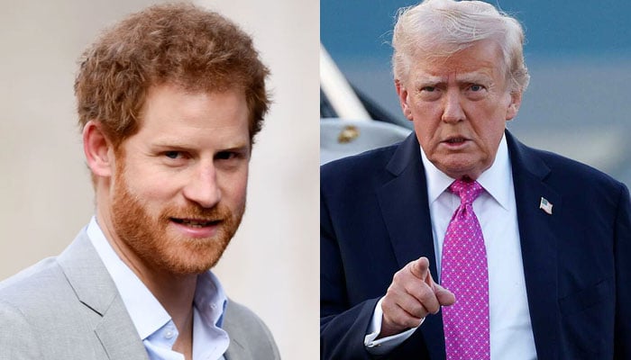 Prince Harry gives strong response on Trumps NATO remarks in official statement
