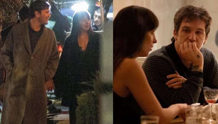 Dakota Johnson and Role Model