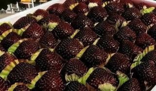 چین کی بلیک پرل اسٹرابیری نے تہلکہ مچا دیا