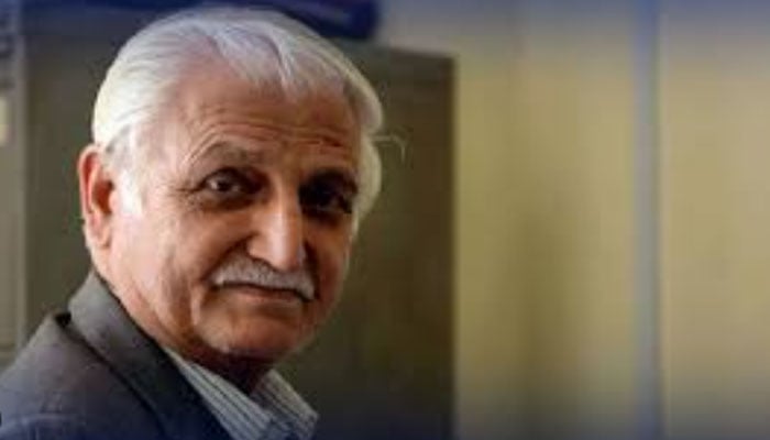 فرحت اللّٰہ بابر—فائل فوٹو