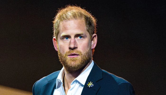 Prince Harry’s stalker makes shocking court appearance during Mail trial