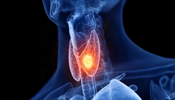 ---فائل فوٹو