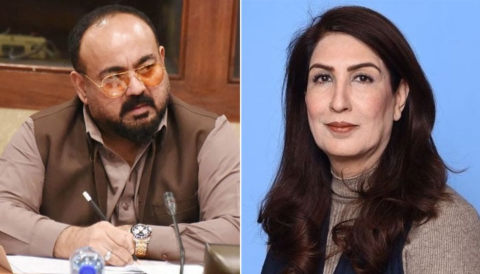 قائمہ کمیٹی اجلاس، خواجہ اظہار الحسن اور شہلا رضا میں تلخ جملوں کا تبادلہ