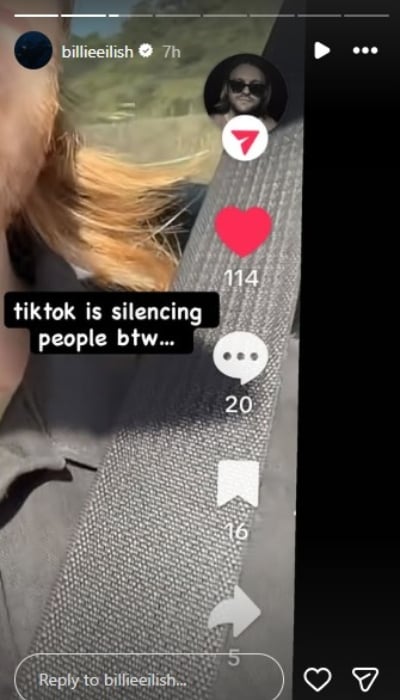 P.C.: Billie Eilish/Instagram Stories