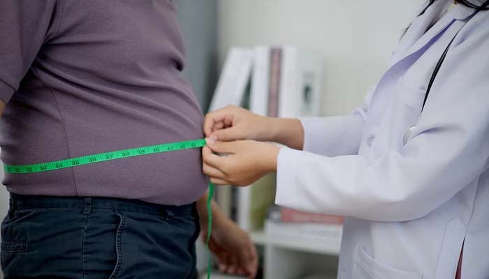 Obesity majorly contributes to increased dementia risk, study