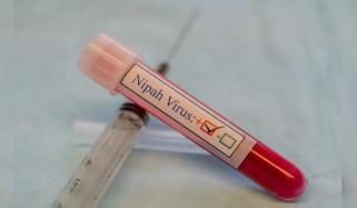 بھارت: نیپاہ وائرس کے کیسز رپورٹ، ہمسایہ ممالک میں اسکریننگ سخت