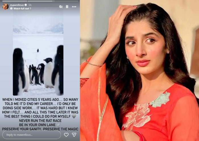 فوٹو — اسکرین گریب