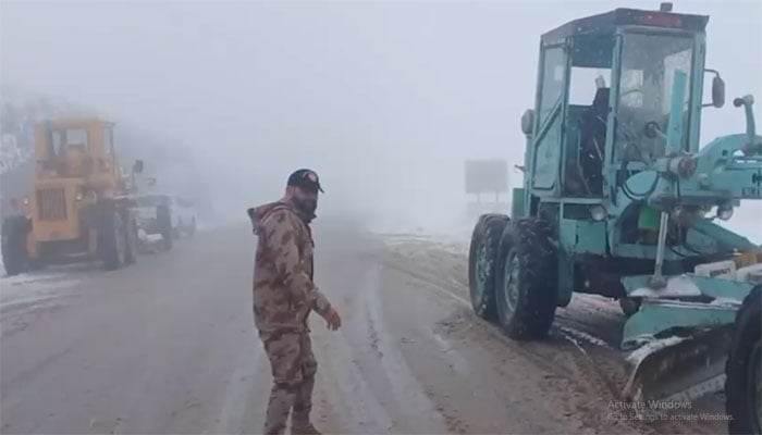 ویڈیو گریب۔