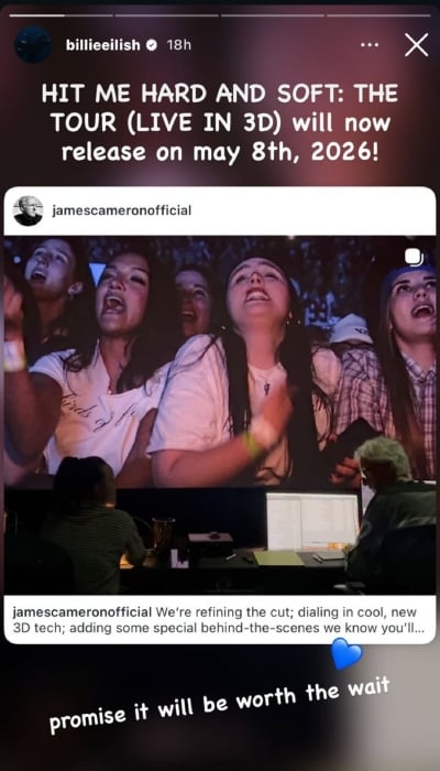 P.C.: Billie Eilish/Instagram Stories