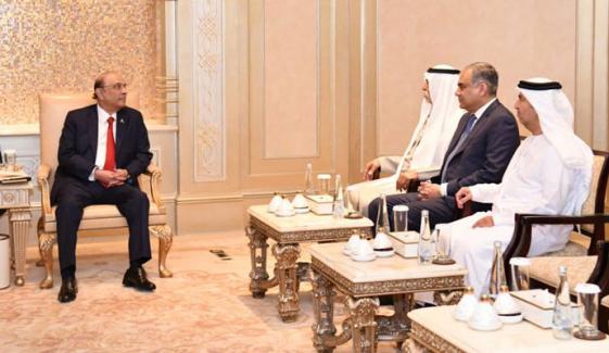 صدر آصف زرداری کی اماراتی وزیر شیخ نہیان بن مبارک النہیان سے ملاقات