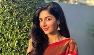 پینگوئن کی وائرل ویڈیو نے ماورا حسین کی زندگی کس طرح بدلی؟