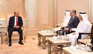 صدر آصف زرداری کی اماراتی وزیر شیخ نہیان بن مبارک النہیان سے ملاقات