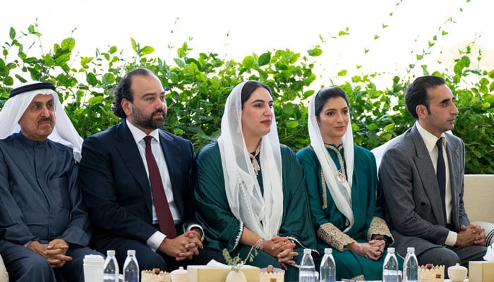 صدر زرداری کی امارات کے وزیرِ رواداری اور بقائے باہمی شیخ نہیان بن مبارک النہیان سے ملاقات