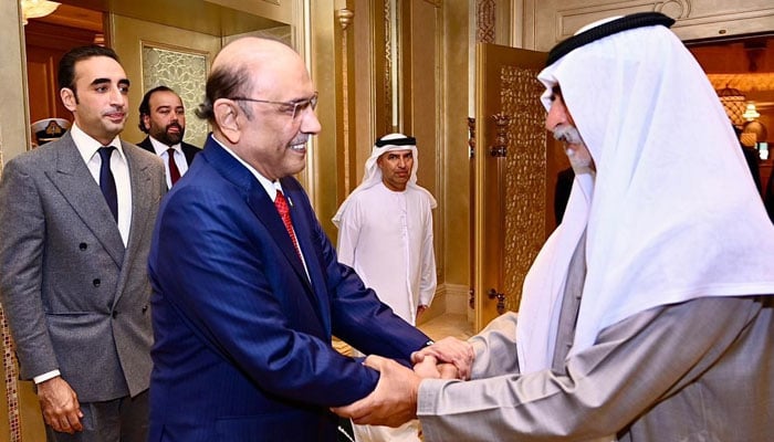 صدر زرداری کی امارات کے وزیرِ رواداری اور بقائے باہمی شیخ نہیان بن مبارک النہیان سے ملاقات