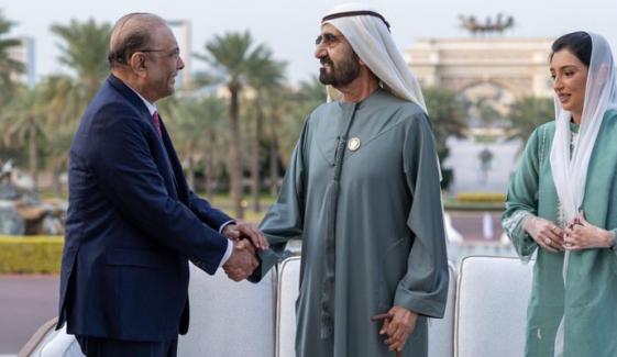 صدر آصف زرداری اور اماراتی نائب صدر شیخ محمد بن راشد المکتوم کی ملاقات