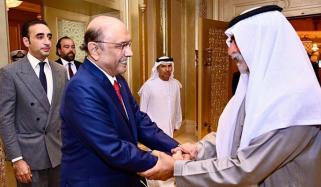 صدر زرداری کی امارات کے وزیرِ رواداری اور بقائے باہمی شیخ نہیان بن مبارک النہیان سے ملاقات