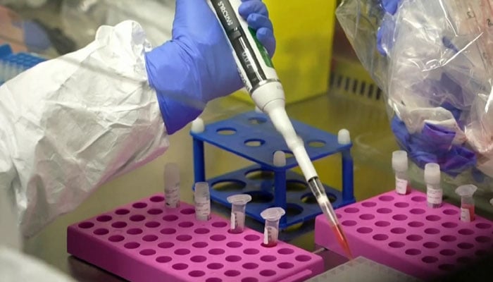 —فائل فوٹو