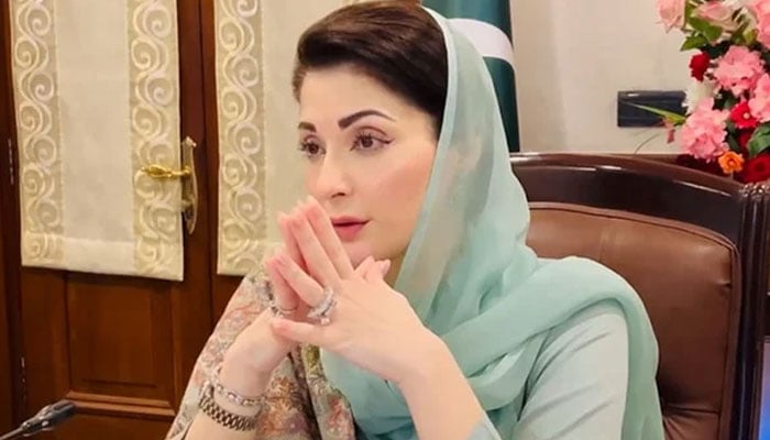 ذمہ داری قبول کرنے کی بجائے حقائق کو توڑ مروڑ کر پیش کیا گیا تاکہ نااہلی چھپی رہ سکے، مریم نواز - فوٹو: فائل