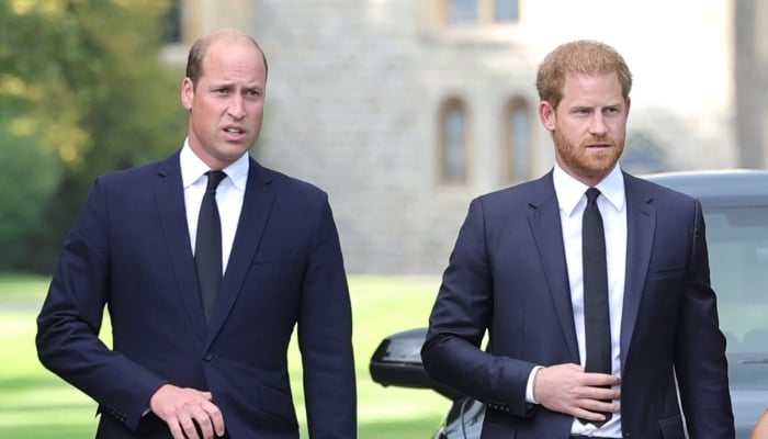 Kensington Palace drops major update on Prince William after Harry’s new strategy