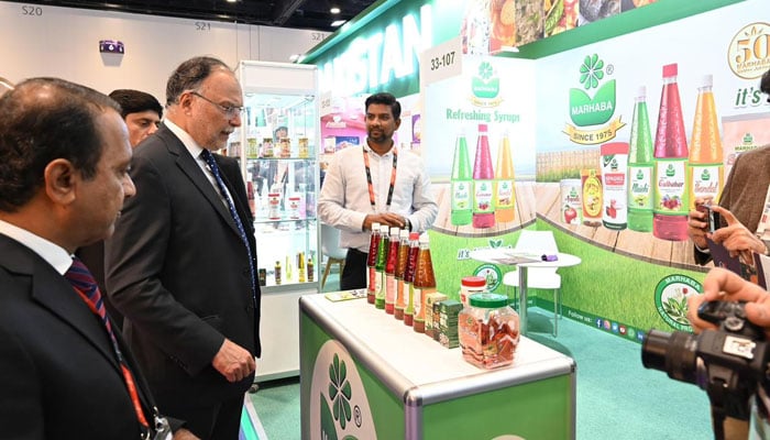 2029 تک 60 ارب ڈالرز کی ایکسپورٹ کا ہدف ہے، احسن اقبال