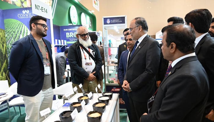 2029 تک 60 ارب ڈالرز کی ایکسپورٹ کا ہدف ہے، احسن اقبال