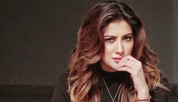 مہوش حیات— فائل فوٹو