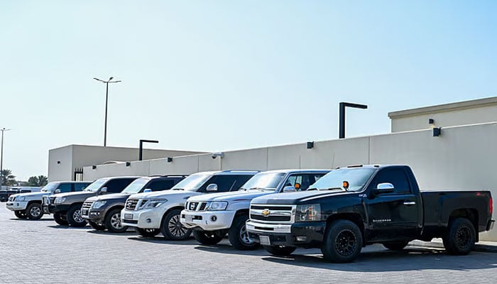 تصویر سوشل میڈیا۔