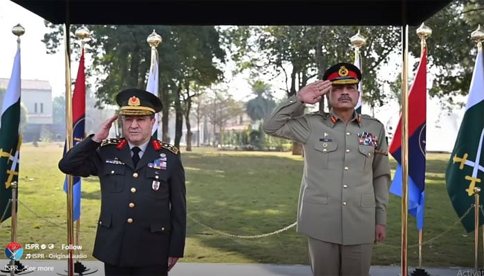 ویڈیو گریب۔