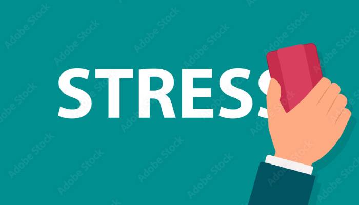 Best ways to improve brain health with age, according to Harvard expert