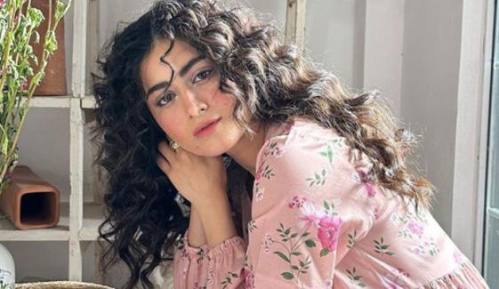 میں نے کئی مشہور ڈراموں میں کام سے انکار کیا: حنا آفریدی