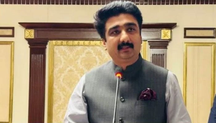 وزیرِ ثقافت و سیاحت سندھ ذوالفقار  علی شاہ—فائل فوٹو