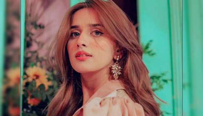 علیشبہ انجم—فائل فوٹو