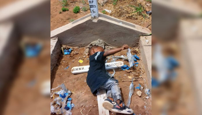 فوٹو: سوشل میڈیا