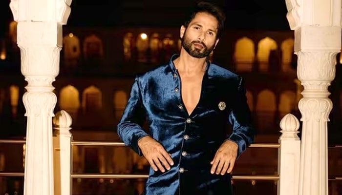 بالی ووڈ اداکار شاہد کپور۔فوٹو: بھارتی میڈیا