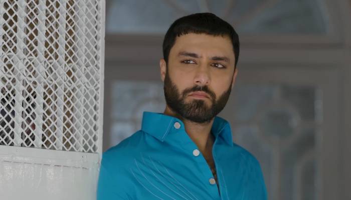 Ahmed Ali Akbar shares Sanwal Yaar Piya chips in hilarious post