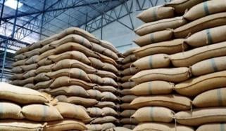 پنجاب میں سرکاری گندم اجرا 20 ہزار ٹن روزانہ 