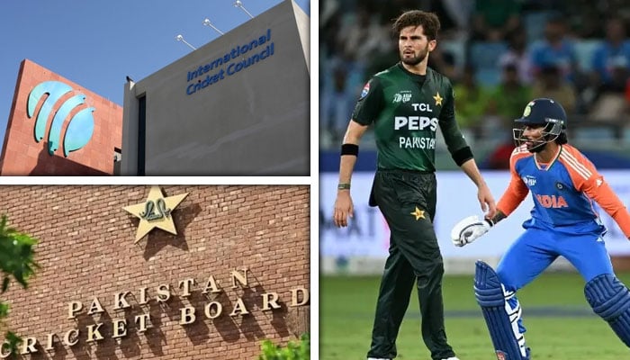 کولاج فوٹو فائل