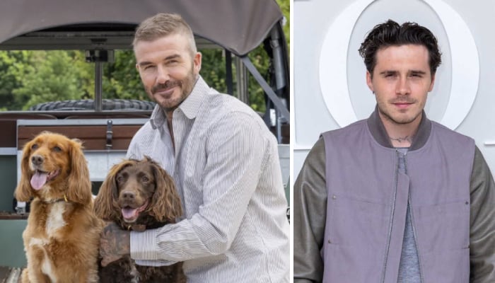 Brooklyn Beckham gets compared to David’s dogs after his explosive claims