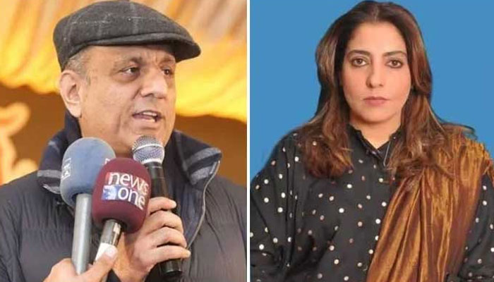 سینیٹ اجلاس، علیم خان کی پلوشہ خان سے معذرت