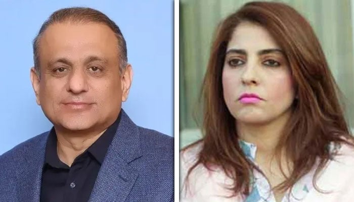 سینیٹ اجلاس، علیم خان کی پلوشہ خان سے معذرت