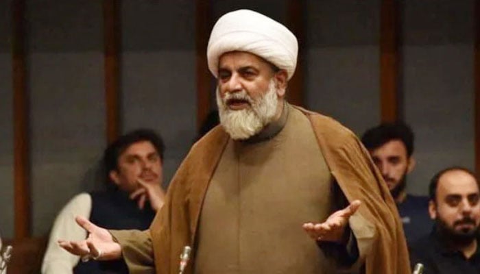 راجہ ناصر عباس— فائل فوٹو