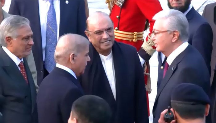 فوٹو: اسکرین گریب