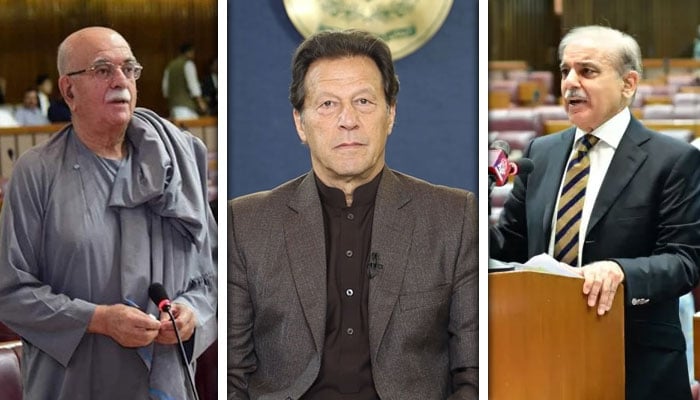 کولاج فوٹو: فائل