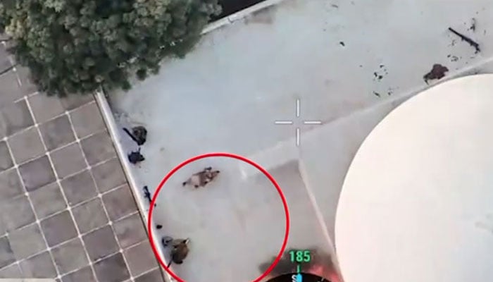 فوٹو: اسکرین گریب