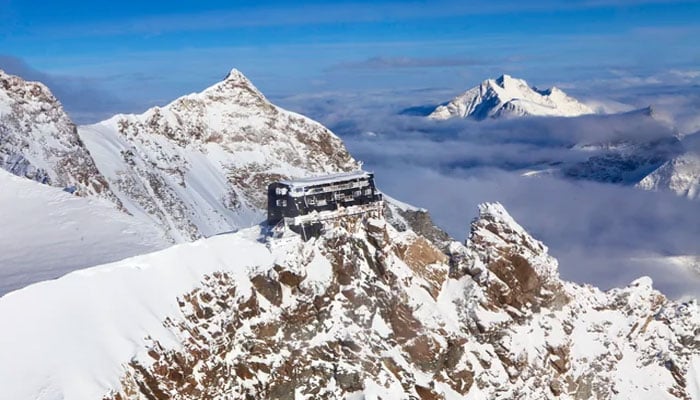 تصویر سوشل میڈیا۔