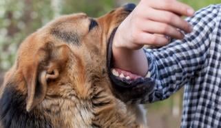 کراچی: چمن کا 18 سالہ نوجوان ریبیز میں مبتلا