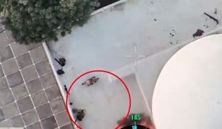 بلوچستان، دہشتگرد حملوں کی غیر ملکی سہولت کاری بے نقاب